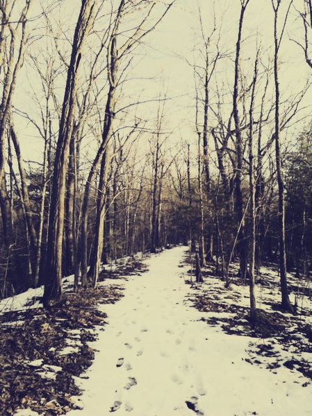 Winter trail